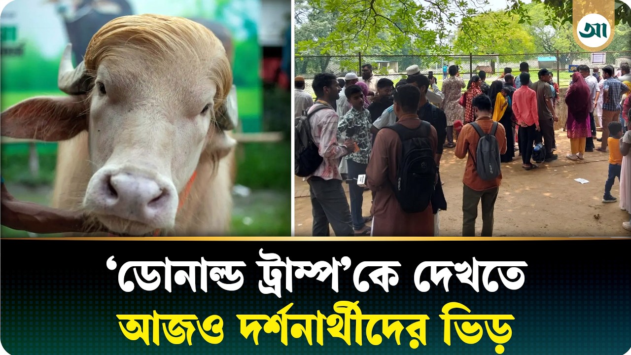‘ডোনাল্ড ট্রাম্প’ জ্বরে কাঁপছে চিড়িয়াখানা, মহিষের নামেই উপচে পড়ছে ভিড়