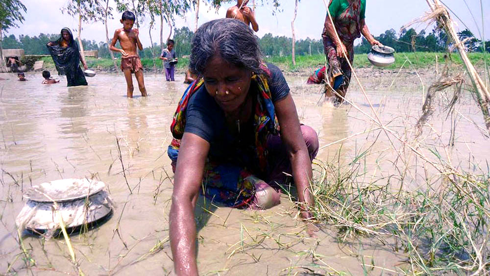 কাজের ফাঁকে মাছ ধরছেন  যমুনা চরের নারীরা
