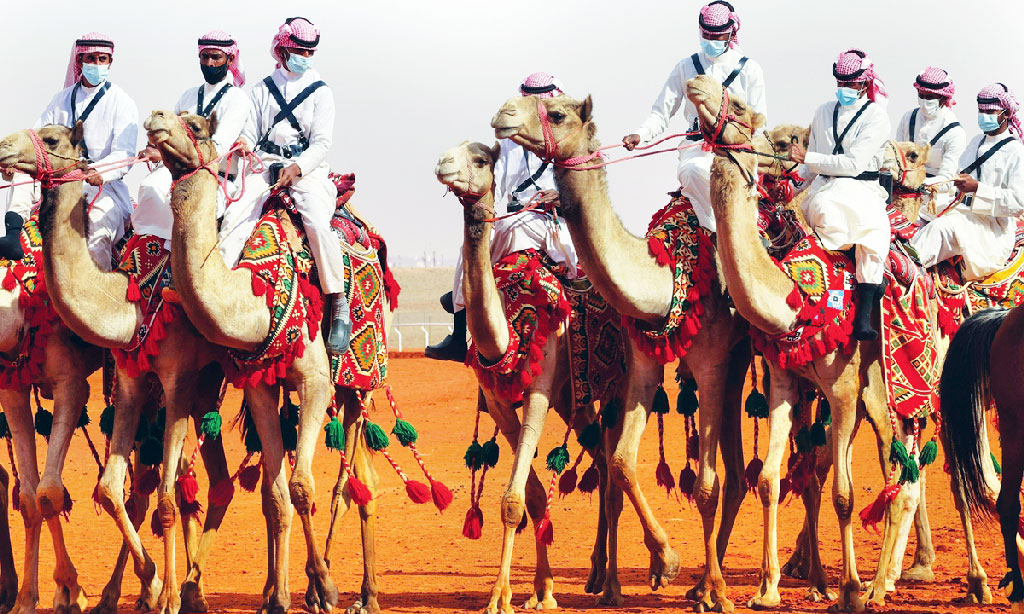 ওমানে উটের সৌন্দর্য প্রতিযোগিতায় জালিয়াতি, বোটক্স-ফিলার প্রয়োগ নিয়ে তোলপাড়