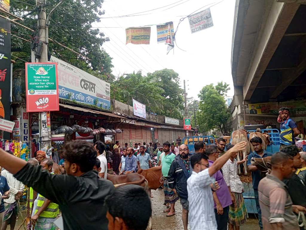 বৃষ্টি ও কাদা-পানির ভোগান্তি উপেক্ষা করে জমে উঠেছে রাজধানীর পশুর হাট