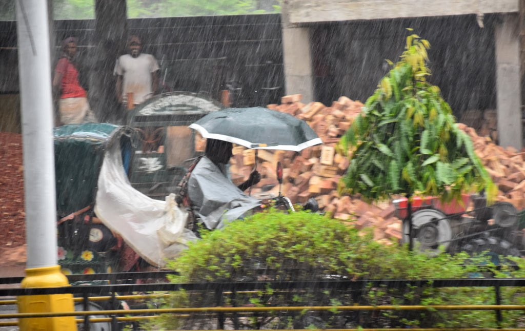 রাজশাহী শহরে বৃষ্টি নেমেছে। পলিথিন দিয়ে, ছাতা মাথায় দিয়ে বিভিন্ন যানবাহনের চালক ও যাত্রীরা চেষ্টা করছেন বৃষ্টি থেকে বাঁচার। আজ বৃহস্পতিবার সকাল দশটায় ভদ্রা মোড় এলাকা থেকে তোলা, রাজশাহী, ৯ মে ২০২৪। ছবি: মিলন শেখ