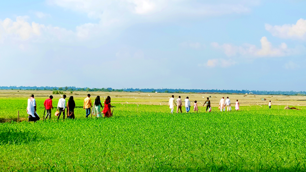 ব্রাহ্মণগাঁও গ্রামের এক ব্যক্তি আত্মীয়-স্বজন নিয়ে বরযাত্রায় যাচ্ছেন। সামনে বৈরাগীর চর নামের বিশাল ফসলের মাঠ। এই মাঠ পেরিয়ে  প্রায় ৩ কিলোমিটার দূরত্বের দৌলতপুর উপজেলার ধামশ্বর ইউনিয়নের বিলকাবালি গ্রামে কনের বাড়ি। ঘিওর উপজেলার সিংজুরী ইউনিয়নের ব্রাহ্মণগাঁও গ্রাম, মানিকগঞ্জ, ১৯ নভেম্বর ২০২৩। ছবি: আব্দুর রাজ্জাক