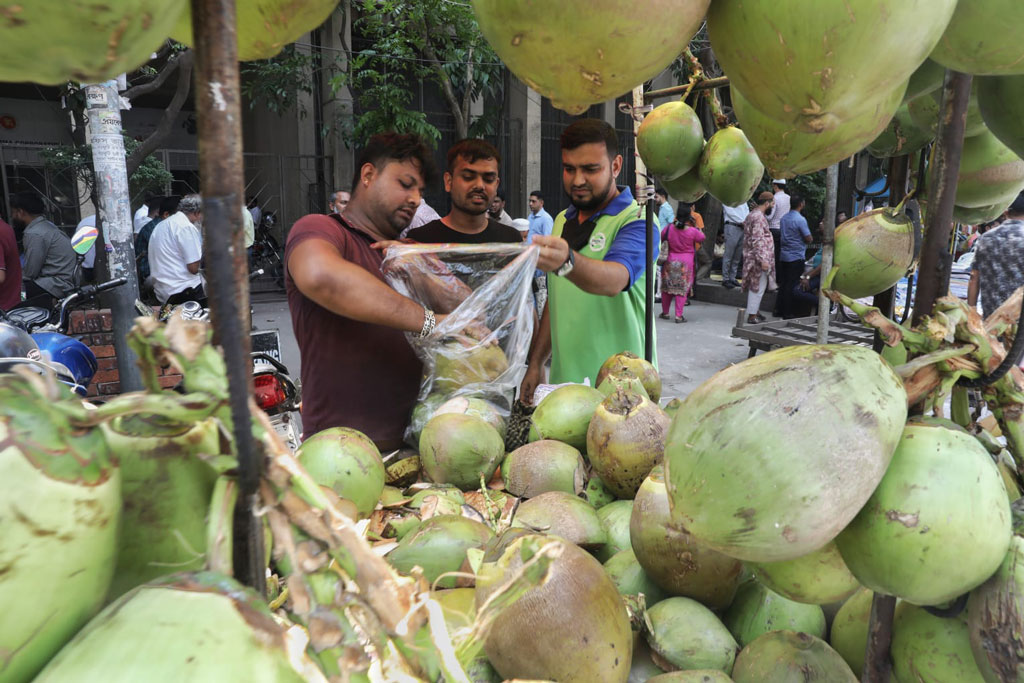 গরমে বেড়েছে ডাবের চাহিদা, প্রতি ডাব ১২০ থেকে ১৫০ টাকায় বিক্রি করছেন দোকানিরা।