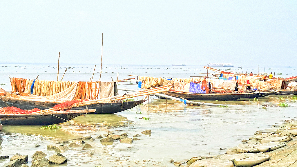 নিষিদ্ধ জালে মেঘনার জলজ প্রাণী নিধন