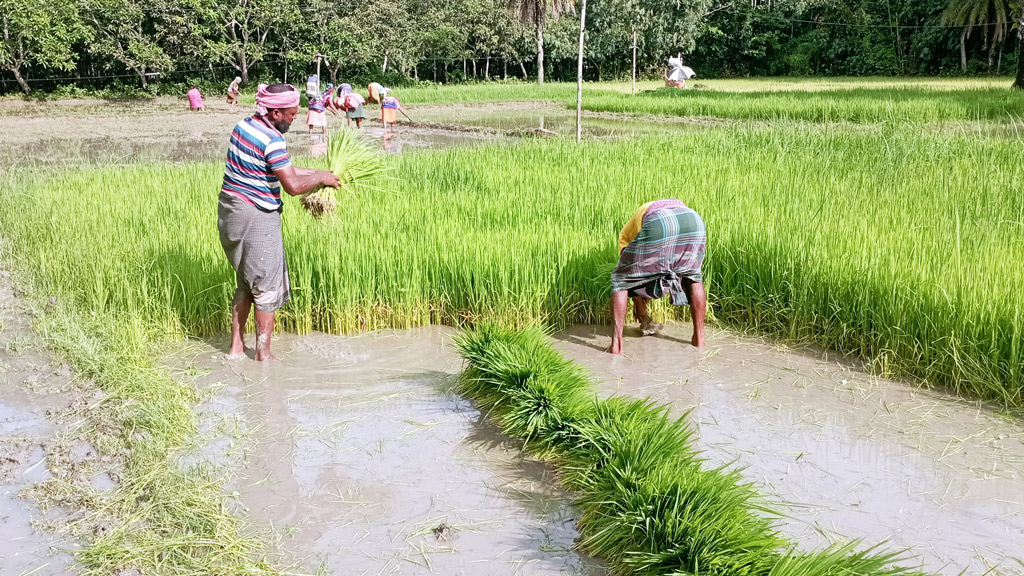 পানির পর শ্রমিক-সংকট