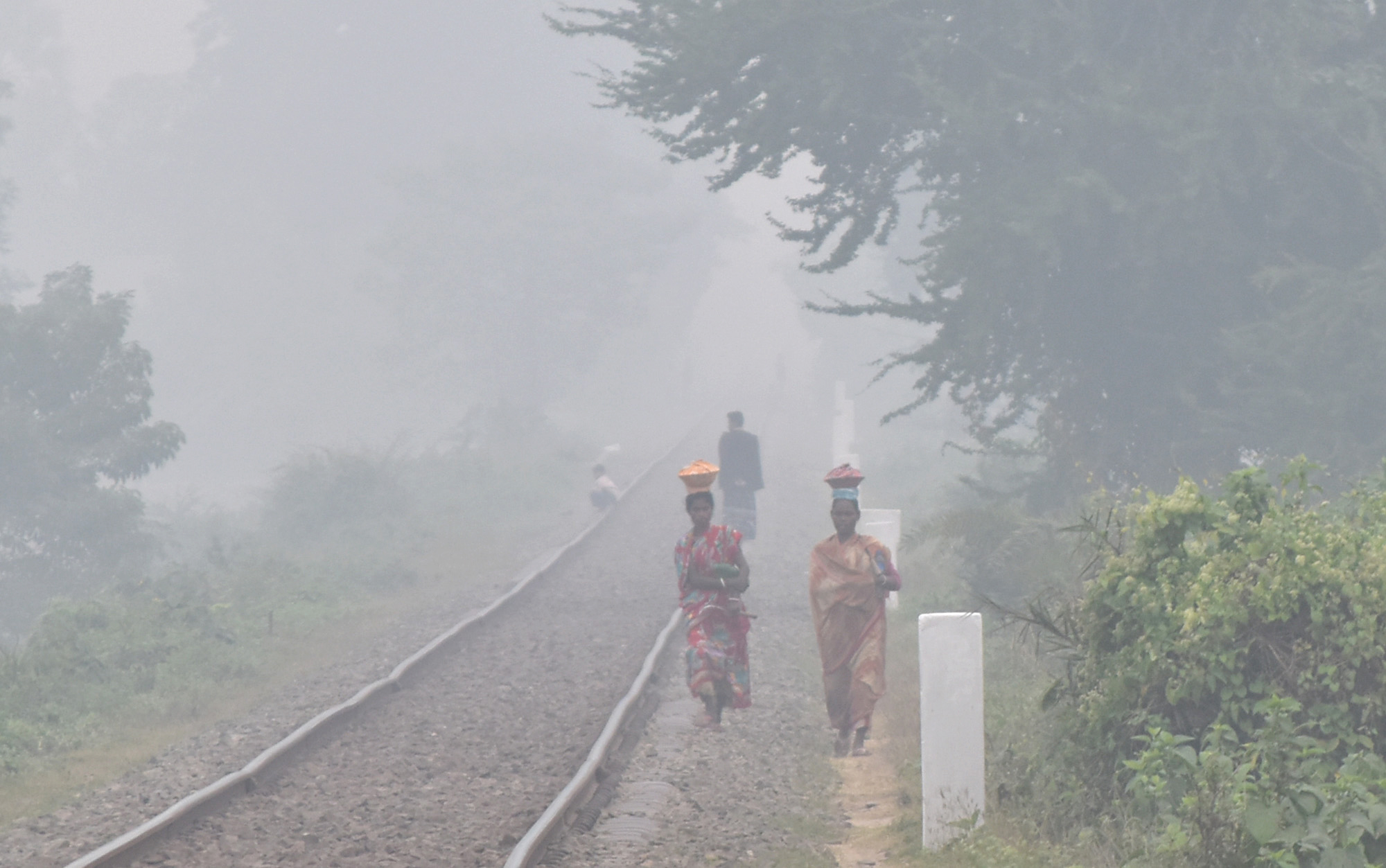 কুয়াশা ঢাকা সকালে মাঠে আমন ধান কাটায় ব্যস্ত কৃষকেরা। গোদাগাড়ী উপজেলার রিশিকুল ইউনিয়নের চব্বিশ নগর রেল স্টেশনের পাশের মাঠ, রাজশাহী, ২ ডিসেম্বর ২০২৩। ছবি: মিলন শেখ