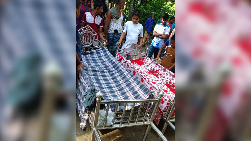 চাঁদপুরে বিদ্যুতায়িত হয়ে বাবা-ছেলের মৃত্যু