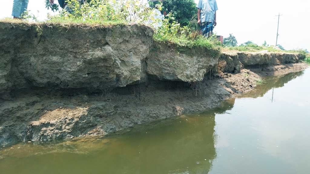 চাঁদপুরে মেঘনা-ধনাগোদা নদীতে ভাঙন, আতঙ্কে তীরের বাসিন্দারা