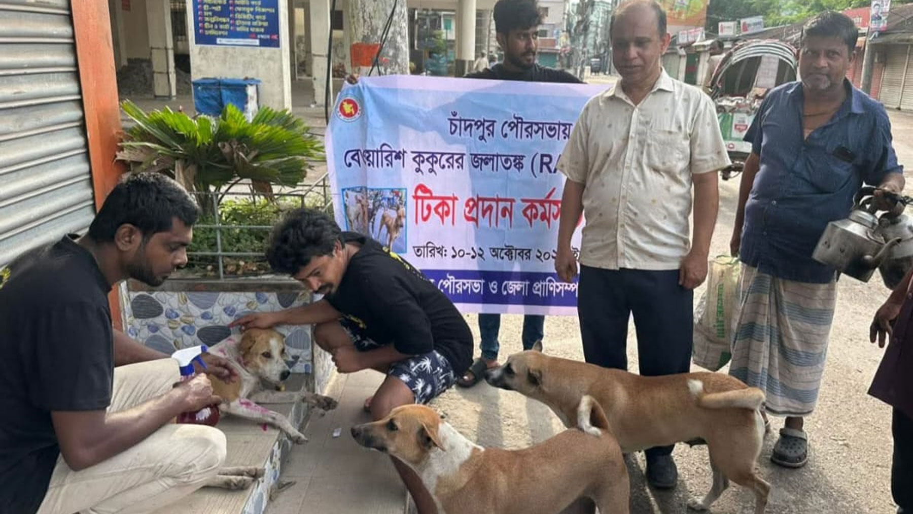 চাঁদপুর পৌরসভায় পথ কুকুরকে দেওয়া হচ্ছে জলাতঙ্ক টিকা