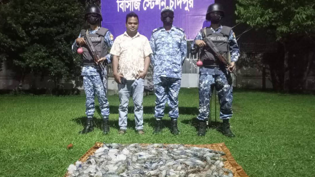 চাঁদপুরে সাড়ে ৪ মণ জেলিযুক্ত চিংড়ি জব্দ