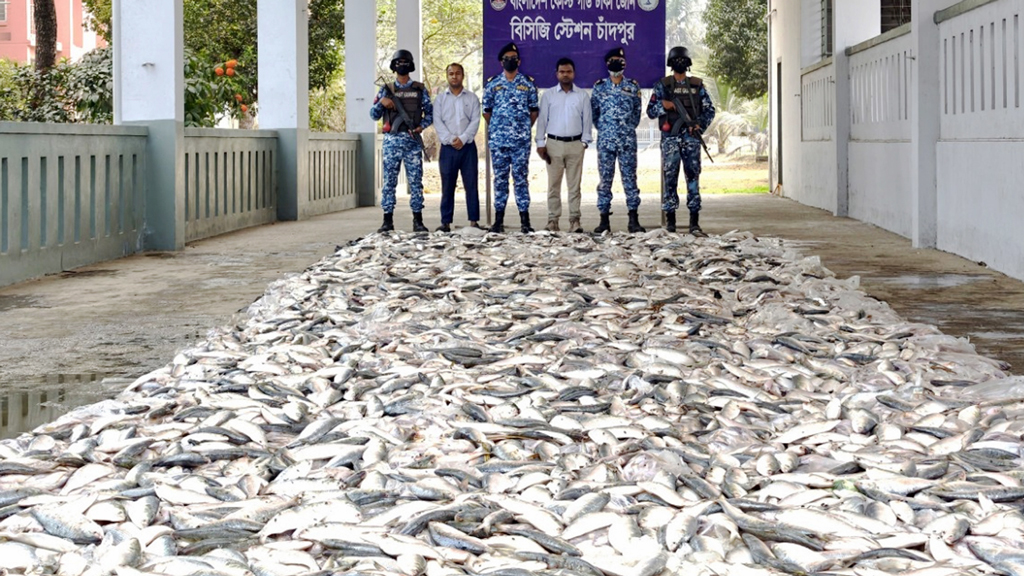 চাঁদপুরে ১২৭ মণ জাটকা জব্দ, ১০ জেলের কারাদণ্ড