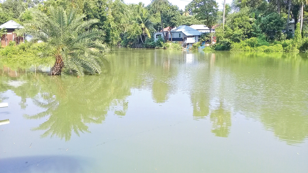 খালের মুখে বাঁধ দিয়ে মাছ চাষ, পানিপ্রবাহ বন্ধ