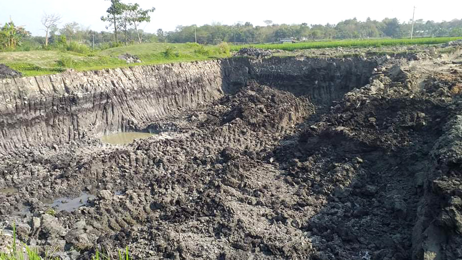 কৃষিজমির মাটি কেটে ইটভাটায় বিক্রি