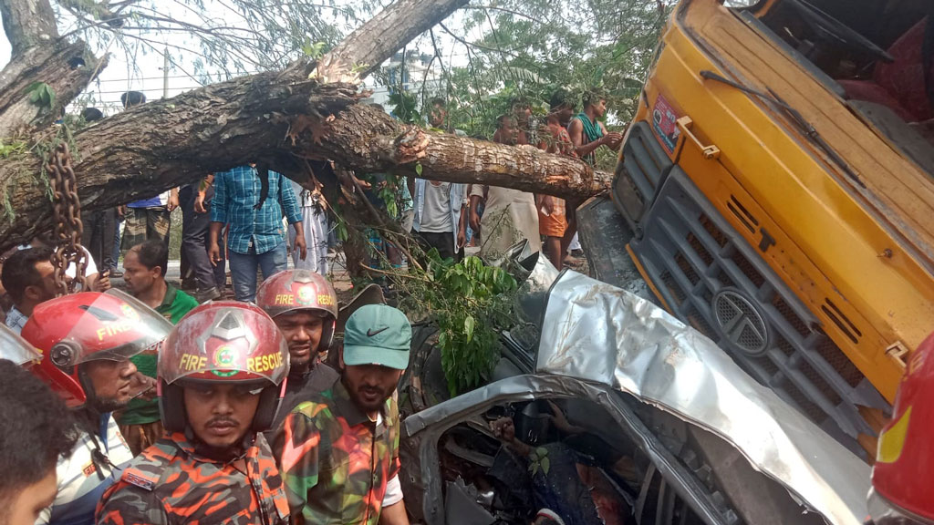 টোল প্লাজায় প্রাইভেট কারসহ কয়েকটি গাড়িকে চাপা দিল ট্রাক, নিহত ১১ 