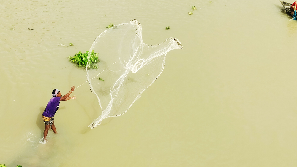 দিনের ছবি (২৮ সেপ্টেম্বর, ২০২৪)