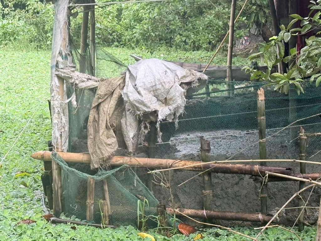 পুকুর ভরাট করে খামারের বর্জ্য, এক লাখ টাকা জরিমানা
