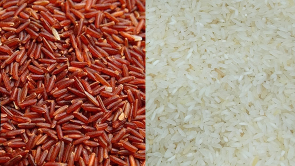 লাল চাল বনাম সাদা চাল: কোনটি স্বাস্থ্যকর