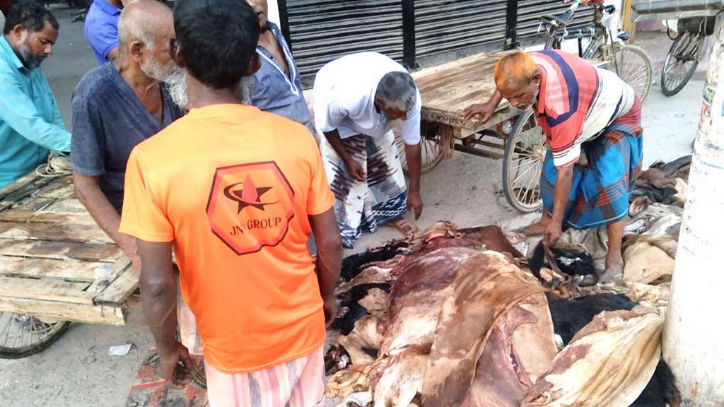 টেন্ডারে চামড়ার দাম উঠল সরকার নির্ধারিত দামের চেয়ে বেশি