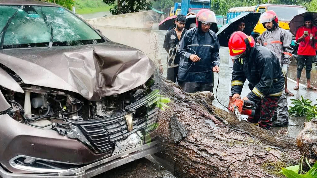 চলন্ত গাড়ির ওপর ভেঙে পড়ল গাছ