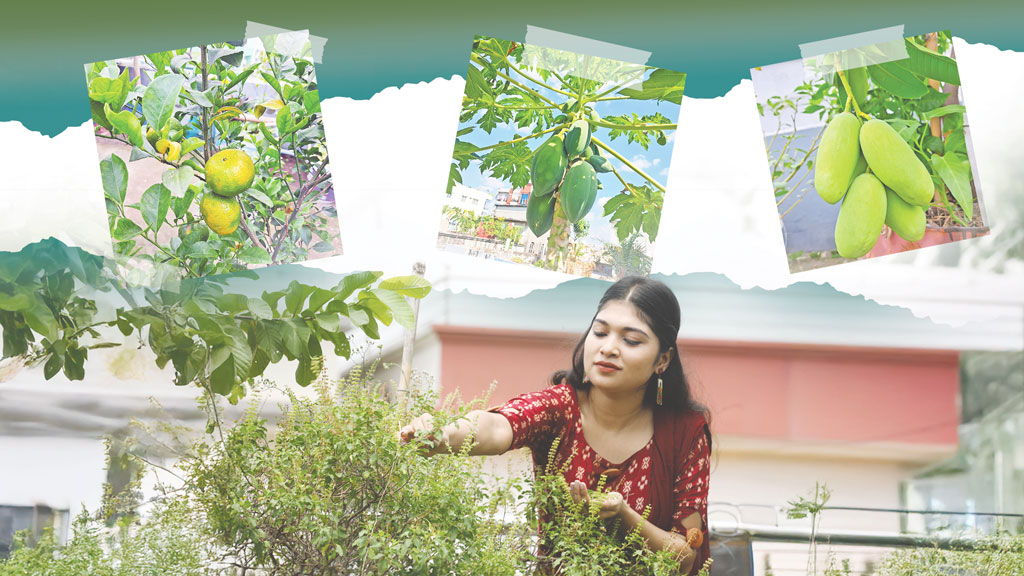 ছাদ হয়ে উঠুক কৃষির ক্ষেত্র