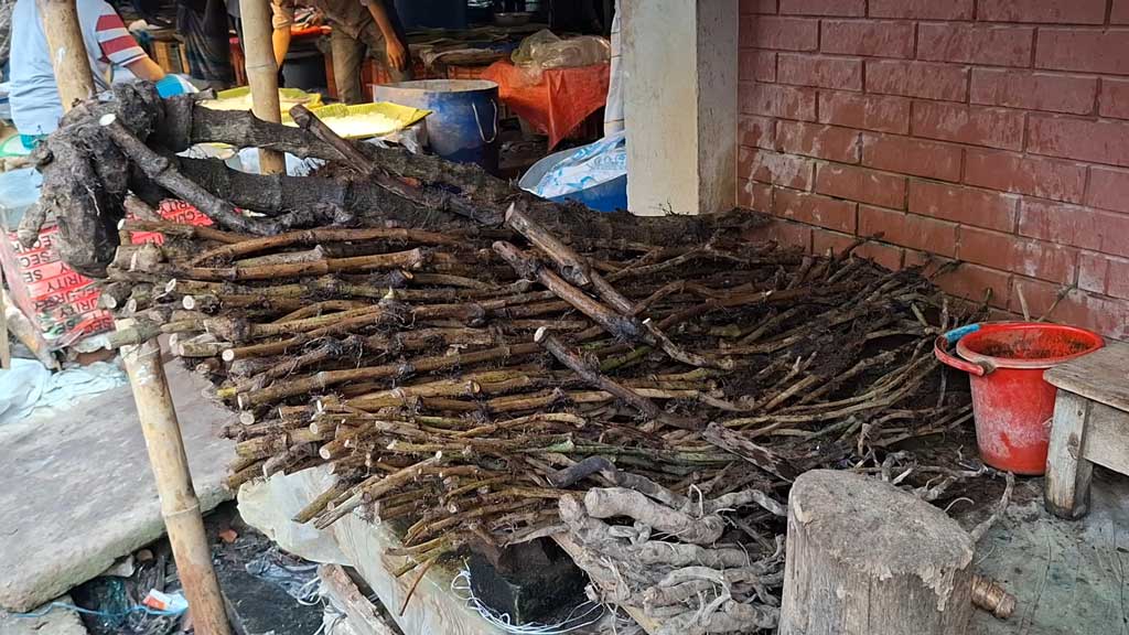 কোরবানির ঈদে বাগেরহাটে চুইঝালের চাহিদা তুঙ্গে, বেড়েছে দাম