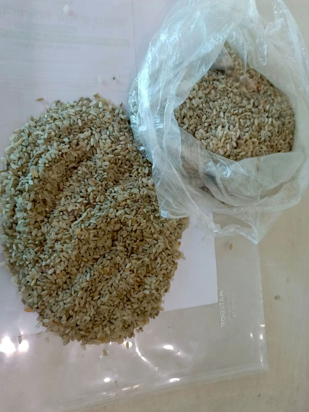 উলিপুরে ভারপ্রাপ্ত খাদ্যগুদাম কর্মকর্তার বিরুদ্ধে পচা, দুর্গন্ধময় চাল সরবরাহের অভিযোগ