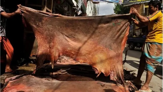 কোরবানির পশুর চামড়া খাওয়া যাবে কি