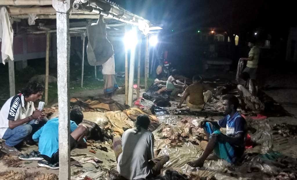 হাত জ্বালা করলেও বিকেল থেকে ভোররাত পর্যন্ত পশুর চামড়া পরিষ্কার ও লবণ দিলেন তাঁরা