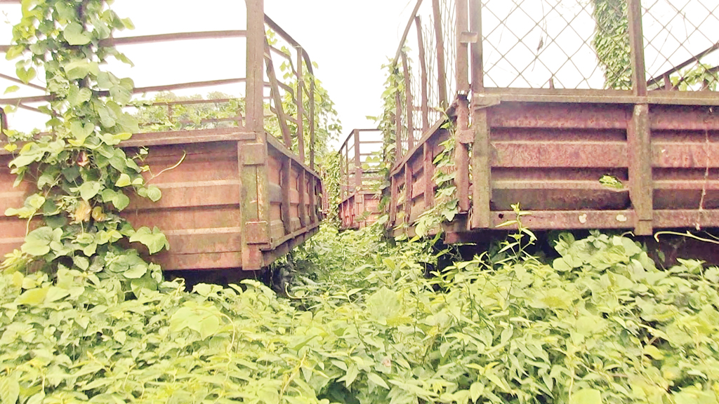 রংপুর চিনিকল: নষ্ট হচ্ছে কোটি টাকার সম্পদ