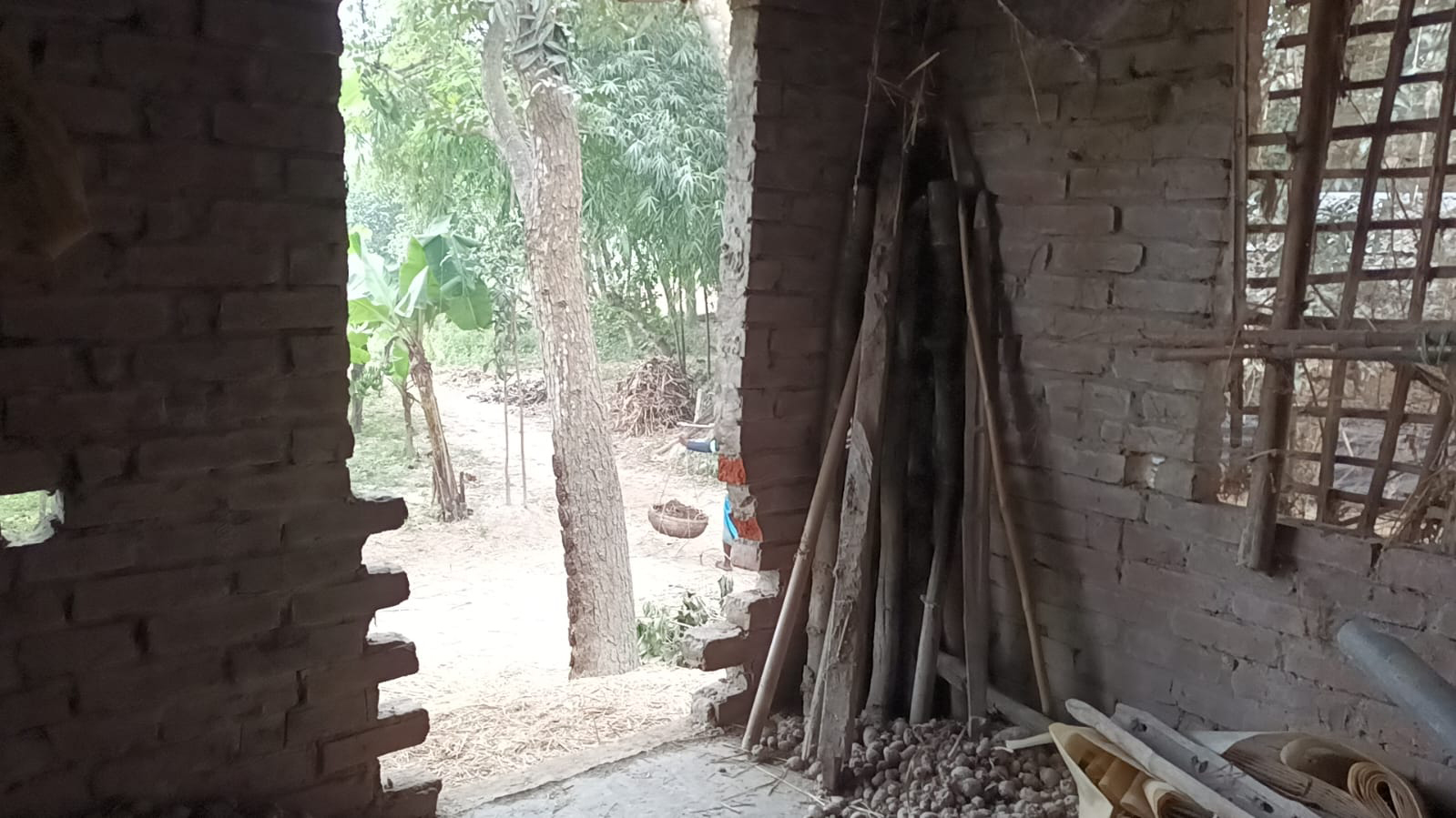 তিনটি গরুর সঙ্গে মোটরসাইকেলের তেলও নিয়ে গেছে চোরেরা