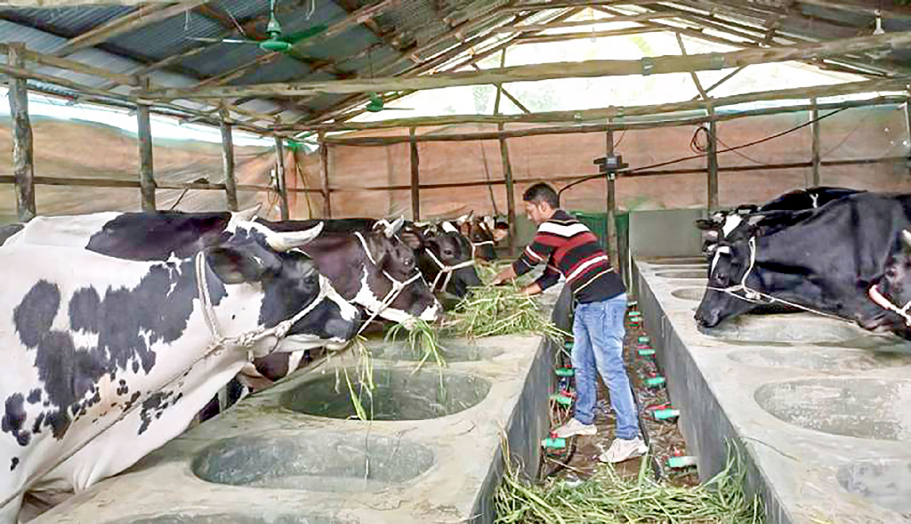 বদলে যাওয়া কোরবানির অর্থনীতির গল্প