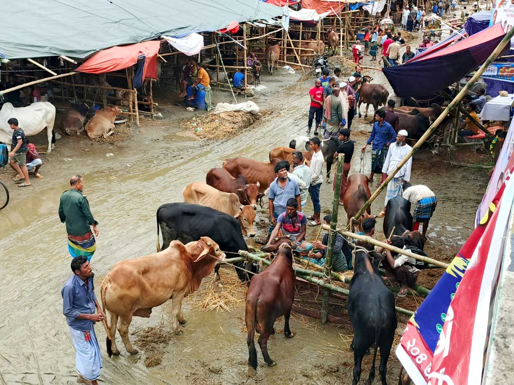 শেষ মুহূর্তে বিক্রির চাপে ব্যাপারীরা, দাম কমার অপেক্ষায় ক্রেতারা
