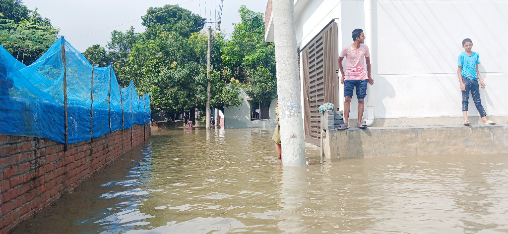 রাতভর বৃষ্টিতে জলমগ্ন চাঁপাইনবাবগঞ্জ, শহরবাসী ও কৃষকের দুর্ভোগ