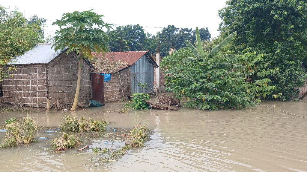 চাঁপাইনবাবগঞ্জে পদ্মার পানি কমছে, বাড়ছে ভাঙনের আশঙ্কা