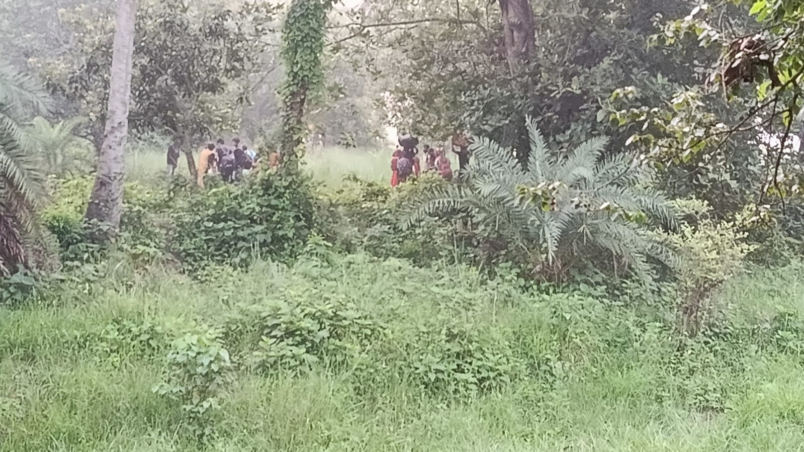 চাঁপাইনবাবগঞ্জ সীমান্তে ২৮ জনকে পুশ ইনের চেষ্টা, ফেরত পাঠাল বিজিবি