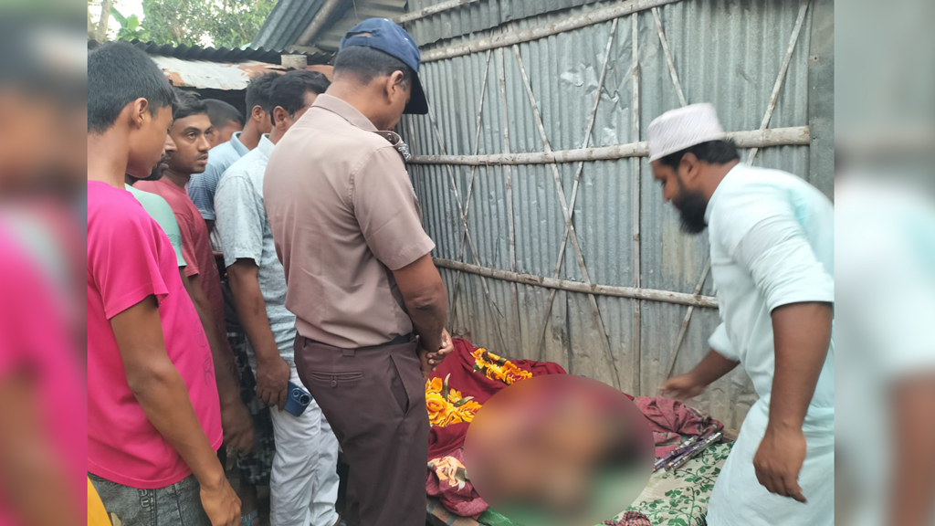 হাঁস পালনের গর্তের পানিতে ডুবে প্রাণ গেল দুই ভাইয়ের