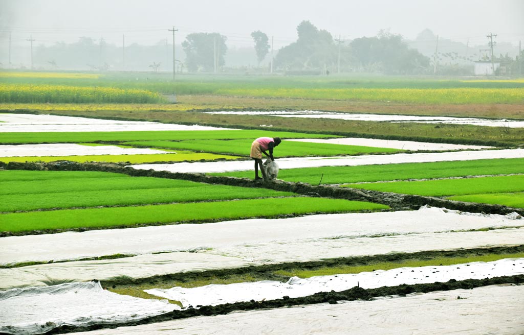 দিনের ছবি (২৬ জানুয়ারি ২০২৫)