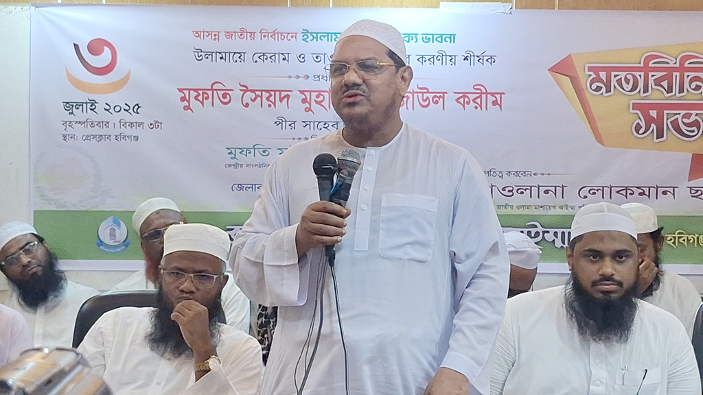পিআর পদ্ধতির পক্ষে অধিকাংশ দল, বাধা দিচ্ছে বিএনপি: চরমোনাই পীর