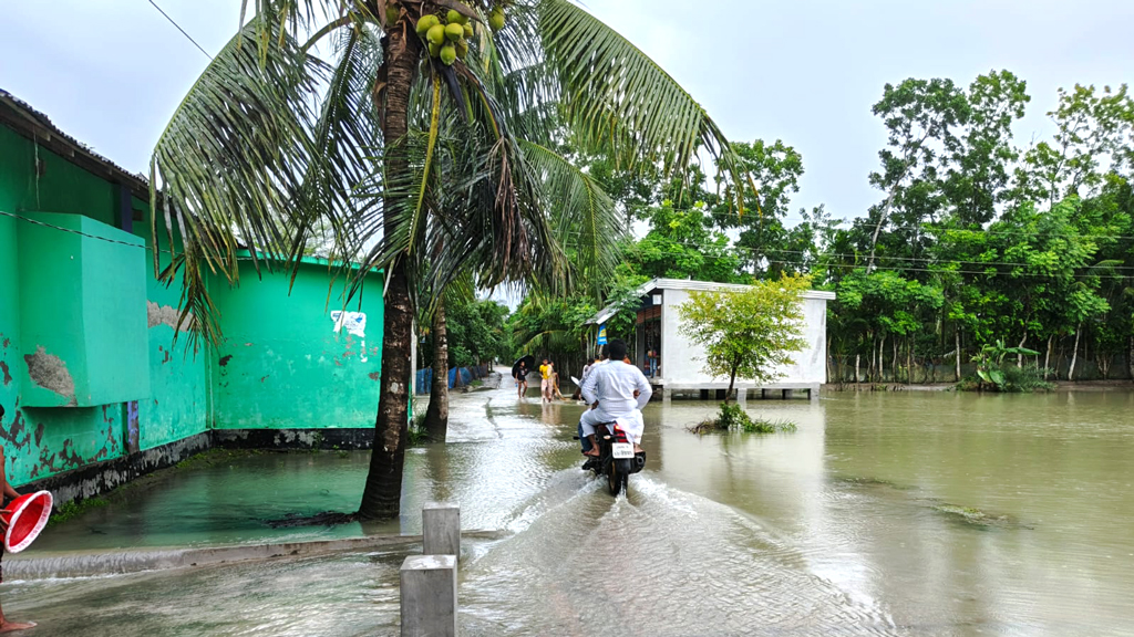 চরফ্যাশনের নিম্নাঞ্চল প্লাবিত, পানিবন্দী শত শত পরিবার