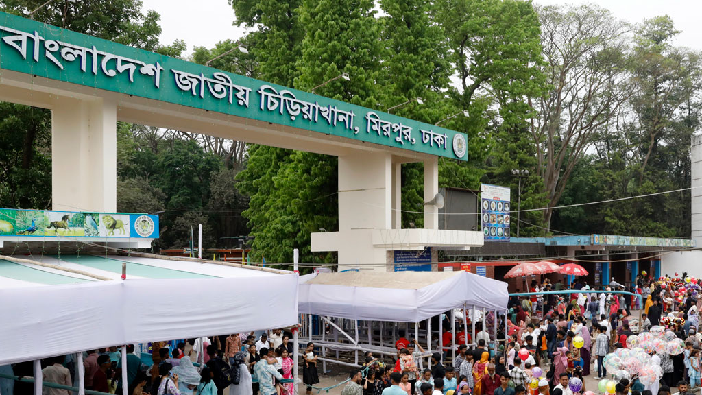 মিরপুরে খাঁচা থেকে বেরিয়ে এল সিংহী, আর চিড়িয়াখানা থেকে দর্শনার্থীরা