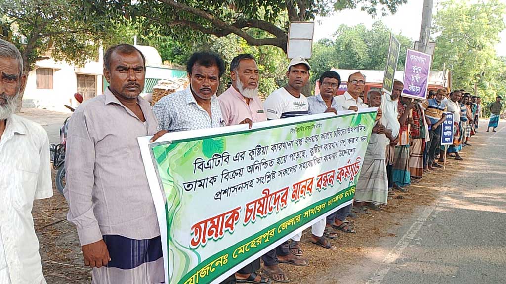 কুষ্টিয়ায় কারখানা বন্ধে ক্ষতিগ্রস্ত কৃষকদের মানববন্ধন