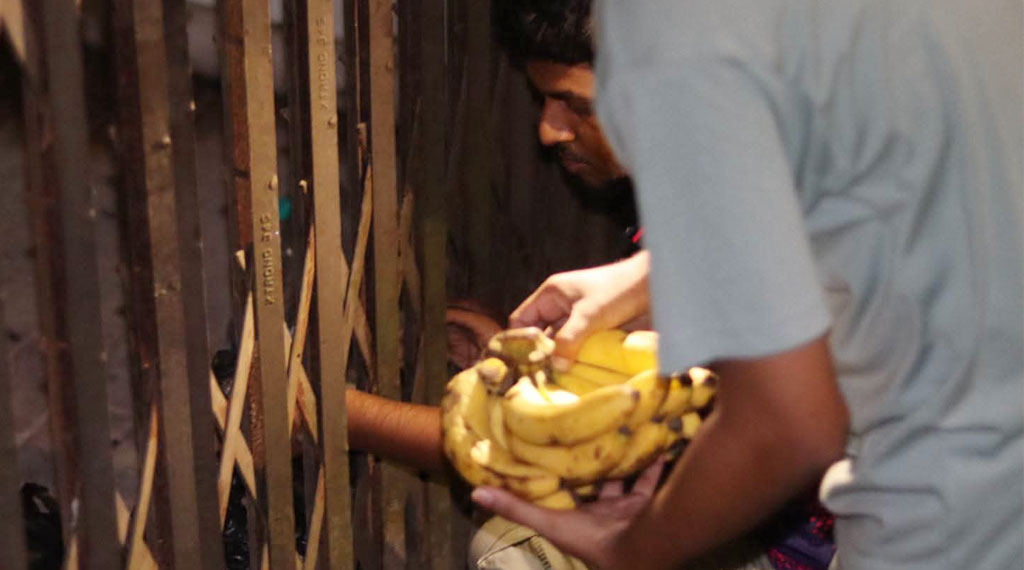 কার্যালয়ে তালাবদ্ধ ভিসিকে খাবার সরবরাহ শিক্ষার্থীদের