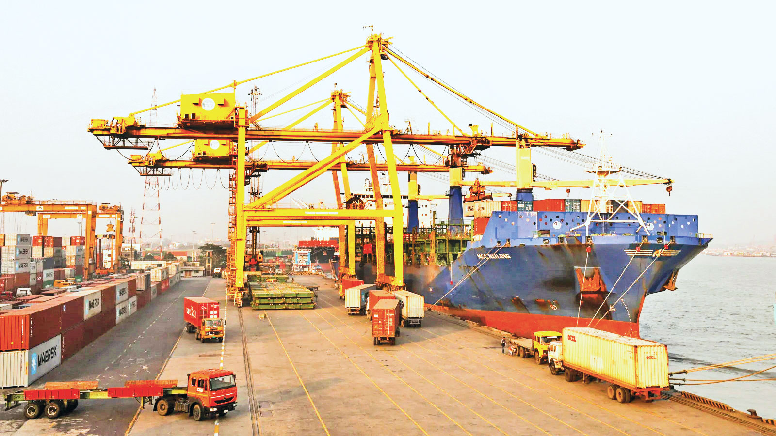 নিউমুরিং নিয়ে সরকার এখন কী করবে