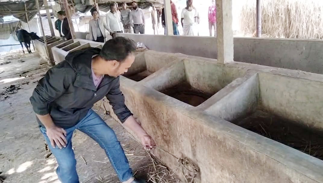 খামারে ডাকাতের হানা, অস্ত্র ঠেকিয়ে ১২ গরু লুট