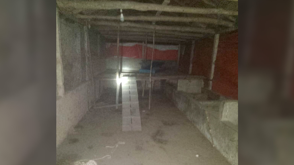 মিরসরাইয়ে প্রহরীকে বেঁধে খামারের ৪০টি ছাগল লুট