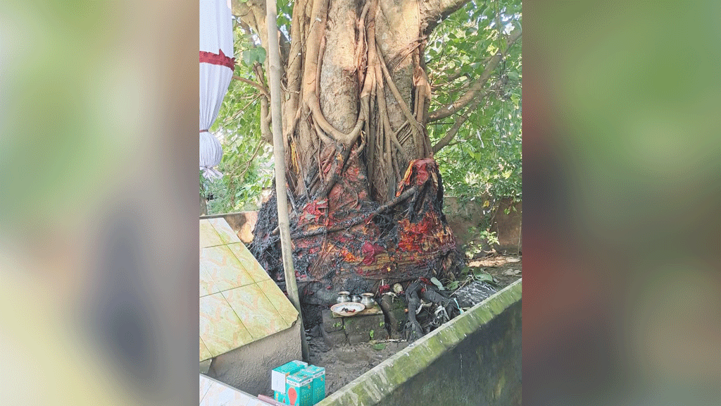 চট্টগ্রামে শতবর্ষী বোধিবৃক্ষের চীবরে আগুন দিয়েছে দুর্বৃত্তরা
