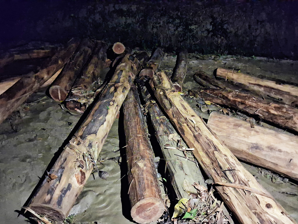 চবিতে অভিনব কৌশলে গাছ পাচারের চেষ্টা, শিক্ষার্থীদের সহায়তায় জব্দ