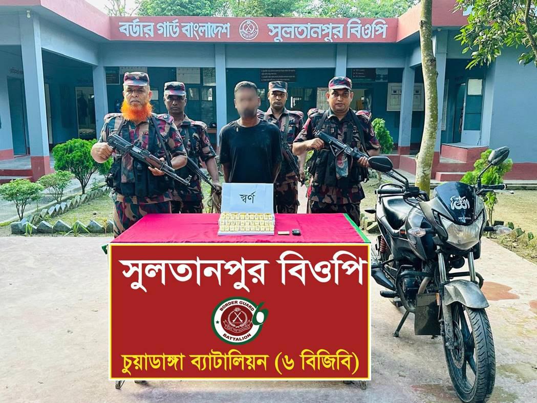 ভারতে পাচারকালে সাড়ে ১৩ কোটি টাকার স্বর্ণের বারসহ আটক ১