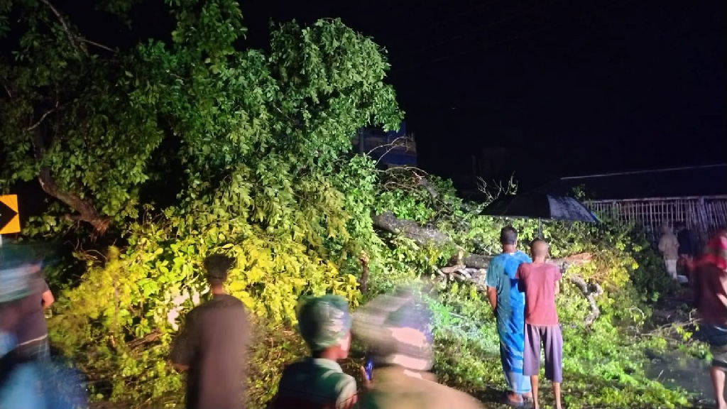 চুয়াডাঙ্গায় কালবৈশাখীর তাণ্ডব: প্রাণ হারালেন বৃদ্ধ, ব্যাহত যান চলাচল