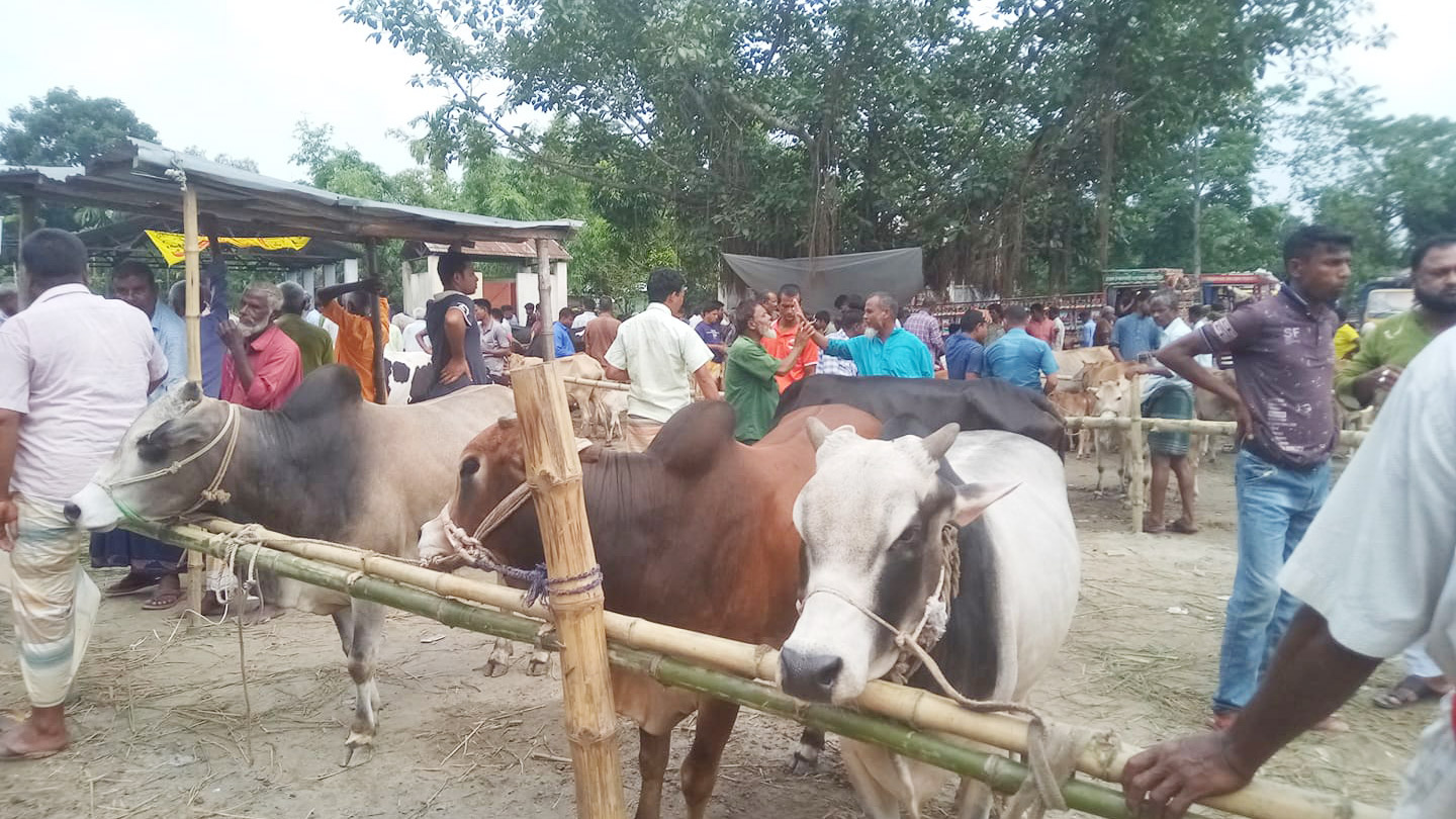 সৈয়দপুরে কসাই সংকট, পশু কোরবানি নিয়ে দুশ্চিন্তা